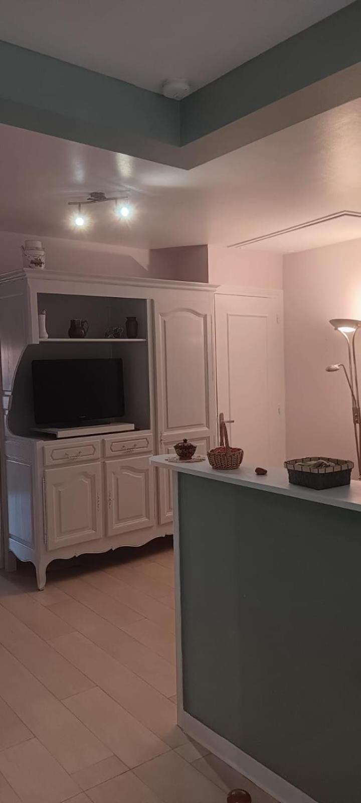 Appartement 120 M² Duplex Coeur Historique Au Calme Le Puy-en-Velay Εξωτερικό φωτογραφία